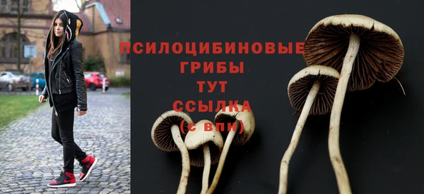 синтетический гашиш Алексеевка