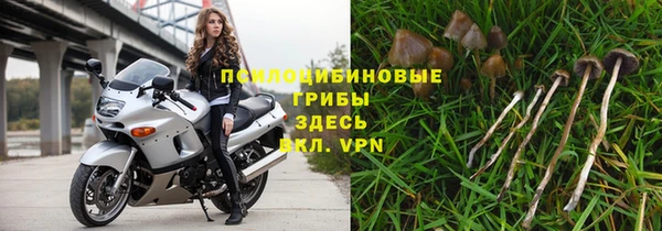 PSILOCYBIN Алексин