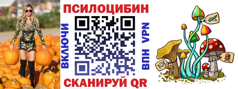 купить наркотик  Кыштым  Псилоцибиновые грибы GOLDEN TEACHER 