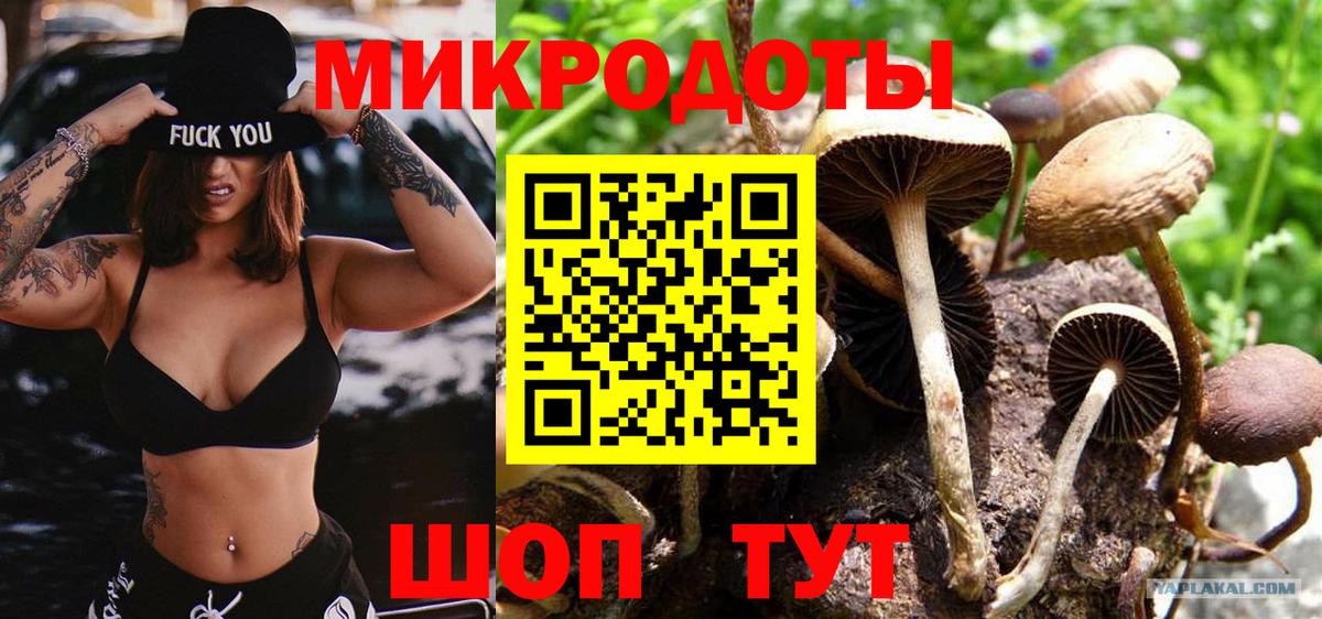 наркотики  Псилоцибиновые грибы ЛСД  Вход с VPN  Кыштым 